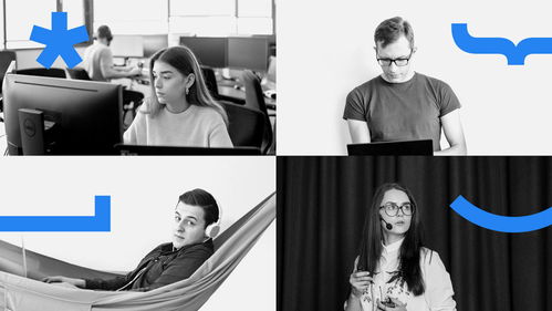 Baltic Amadeus 定制軟件開發與品牌形象設計的完美融合