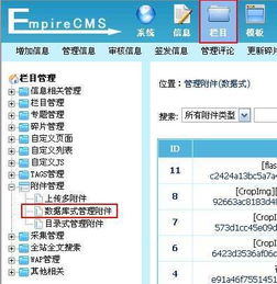 帝國cms后臺附件管理詳解及使用方法