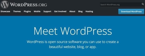 為什么我選擇 WordPress 來建站？深入解析 9 大核心理由